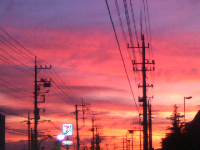 c0023406_85120.jpg