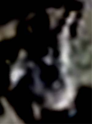 e0103408_17155589.jpg