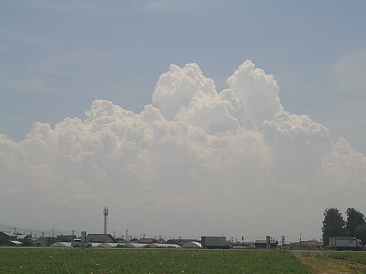 c0110510_1544582.jpg