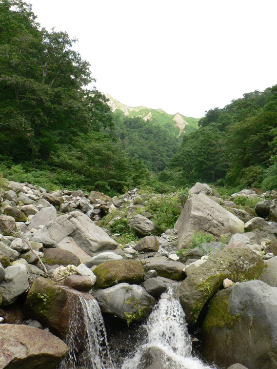 f0219710_820359.jpg