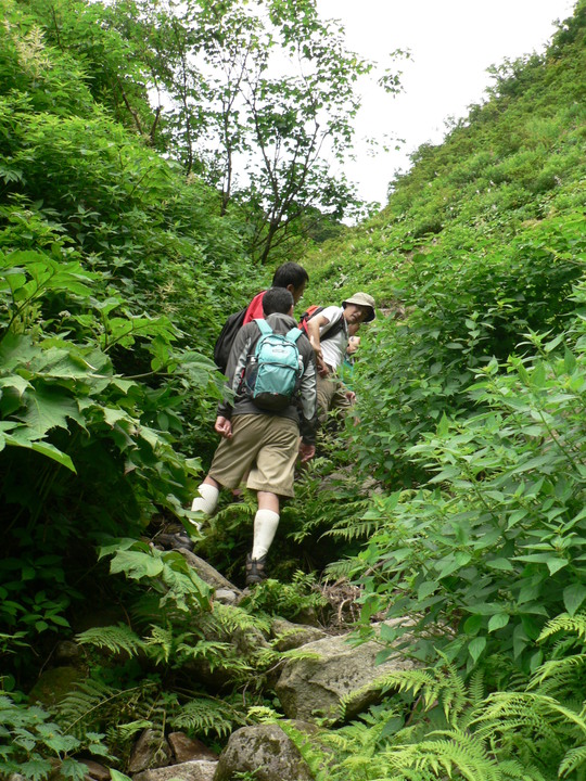 f0219710_8225164.jpg