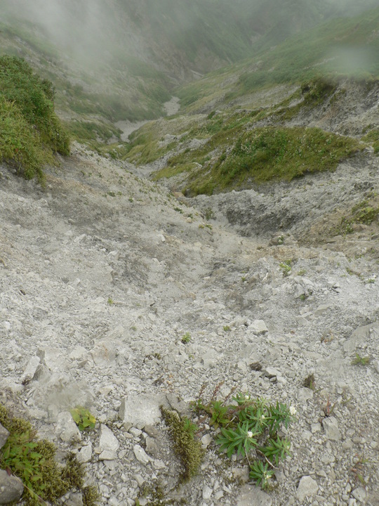 f0219710_8553797.jpg