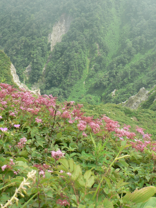 f0219710_9242527.jpg