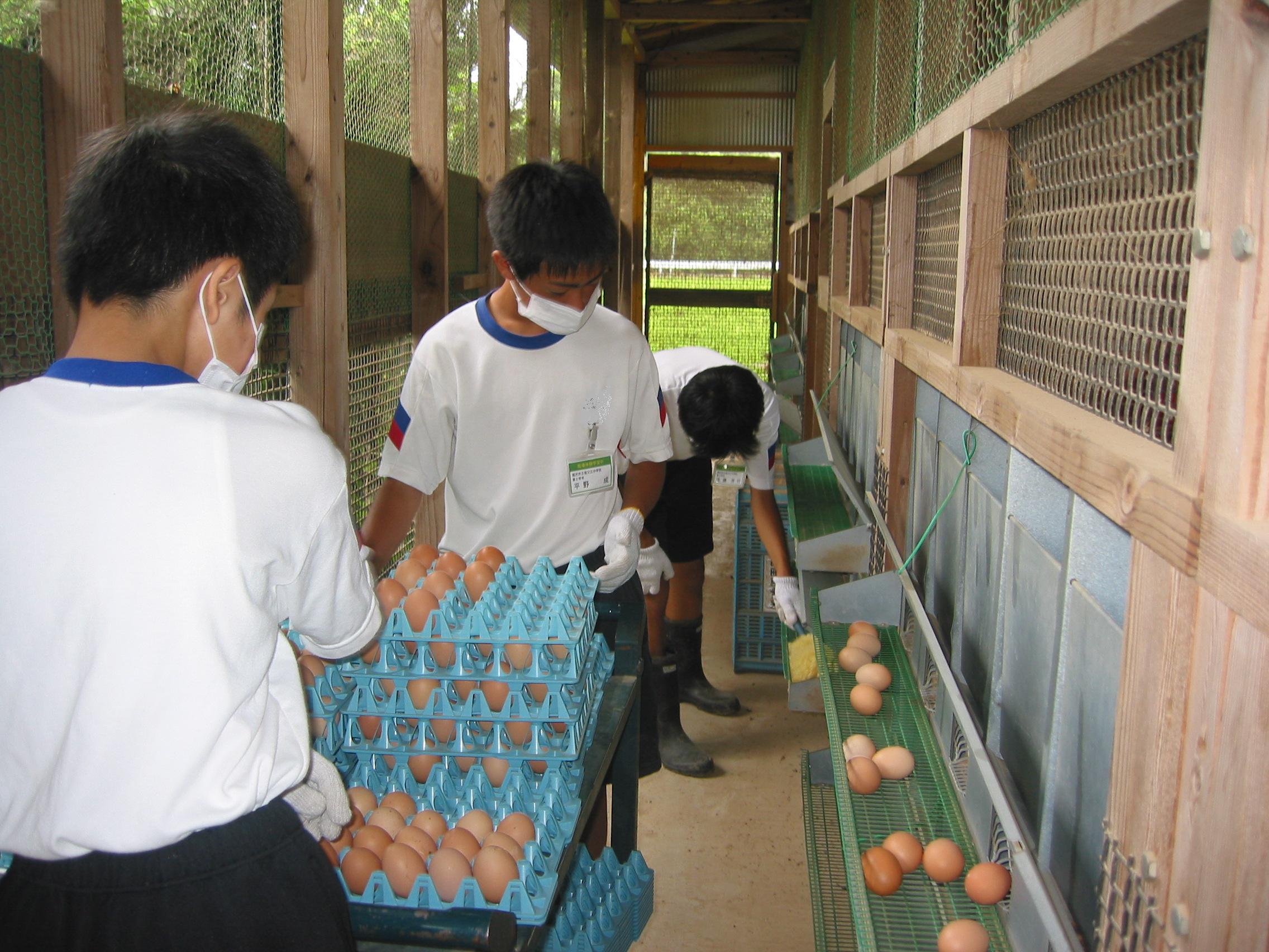 「職場体験学習 2011」_a0120513_19404246.jpg
