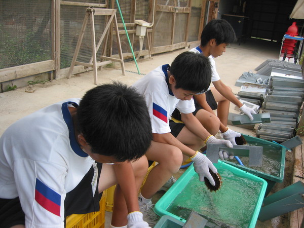 「職場体験学習 2011」_a0120513_19465915.jpg