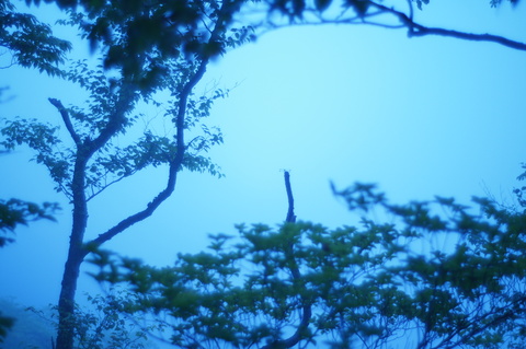 e0153314_16525410.jpg