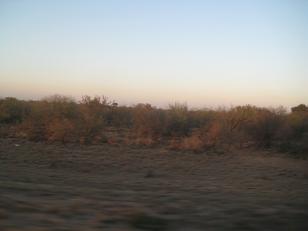 f0135018_16112.jpg