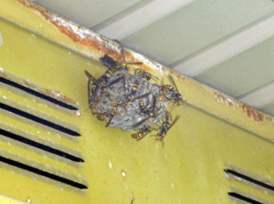 f0232920_13161044.gif