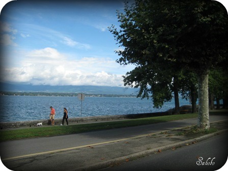 自転車で29Km  SlowUp Genève　その1_b0168823_20104871.jpg