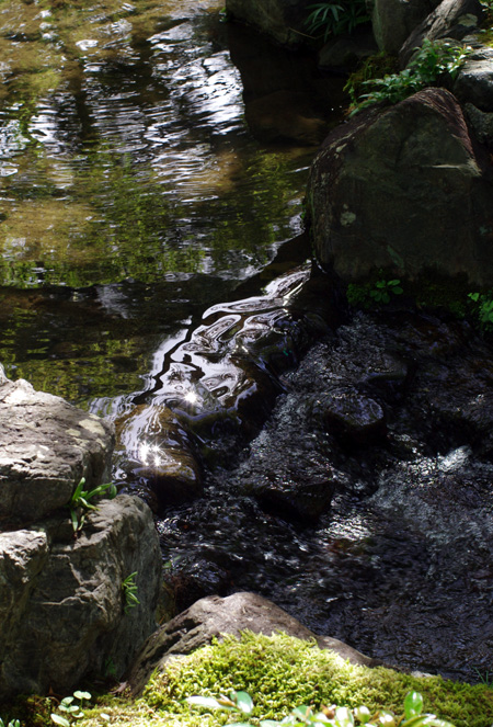 c0077129_1495280.jpg