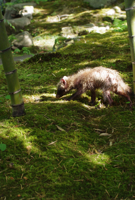 c0077129_159159.jpg