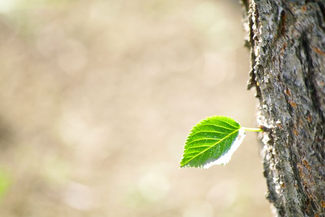 f0145933_2111239.jpg