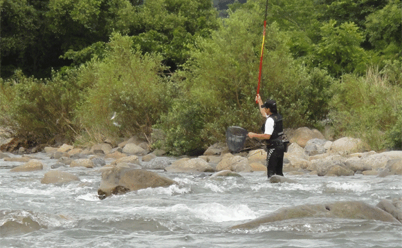 a0056140_23223816.gif