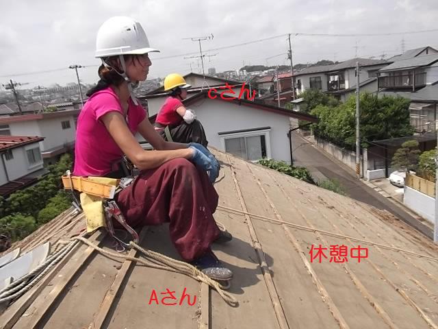 屋根の瓦落とし_c0186441_20175067.jpg