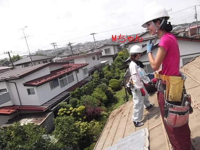 屋根の瓦落とし_c0186441_201918.jpg