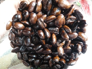 CUBA coffee_e0230141_1238049.jpg
