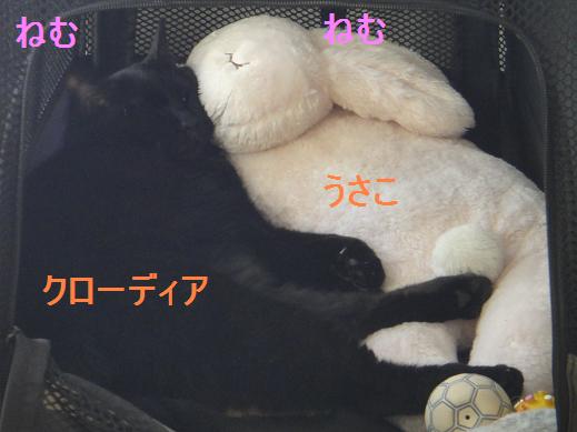 引越し直後~ダイジェスト版~_e0195743_1212899.jpg