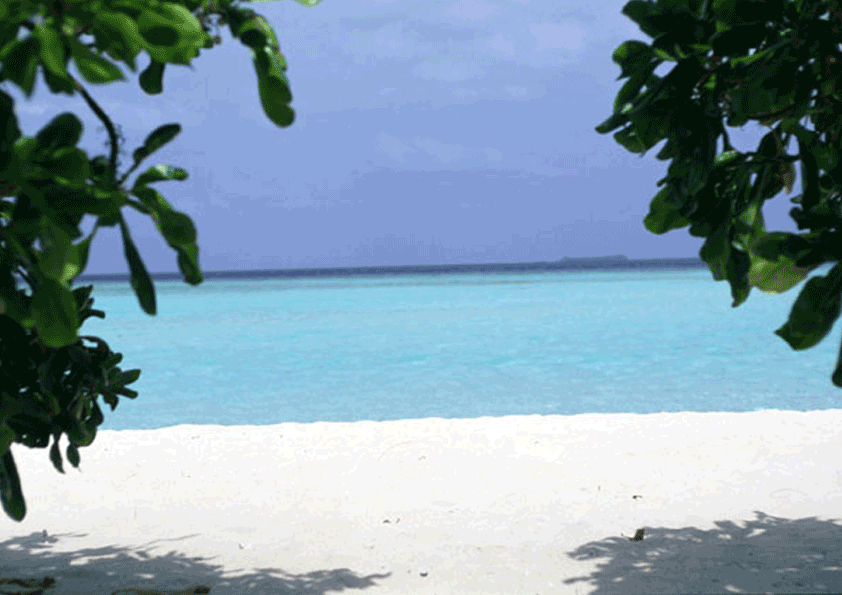 d0227044_21495719.gif