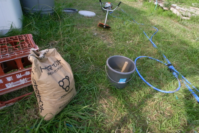 c0039145_16131119.jpg