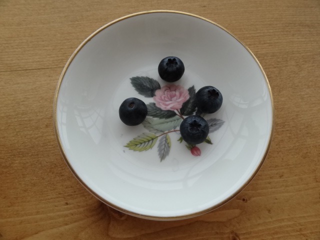 初ブルーベリー_d0165645_1743392.jpg