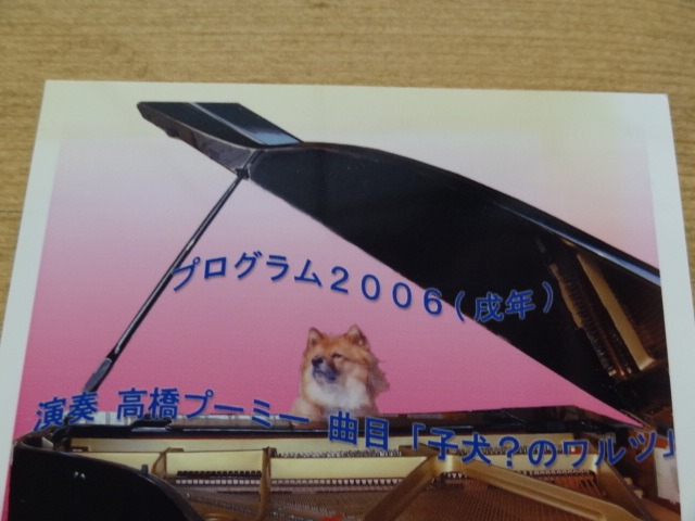 震災5カ月・・高田の七夕_d0165645_9412522.jpg