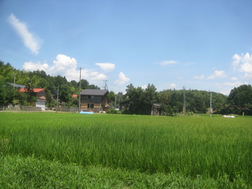 b0112648_16233084.jpg