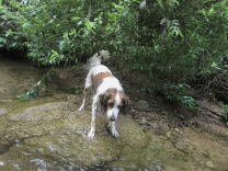 b0198549_1464493.gif