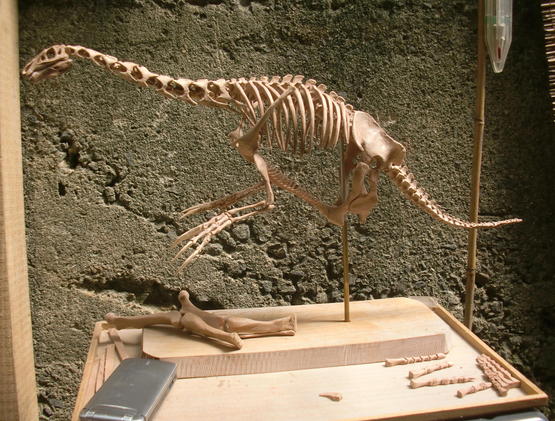 e0064457_2123399.jpg