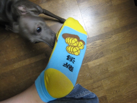 e0015964_21482984.jpg