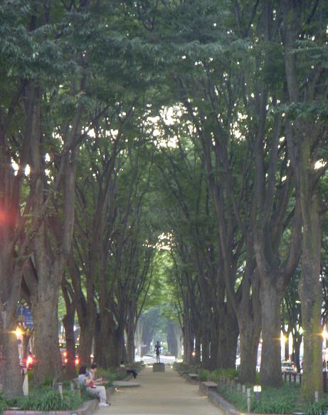 b0111970_16355326.jpg