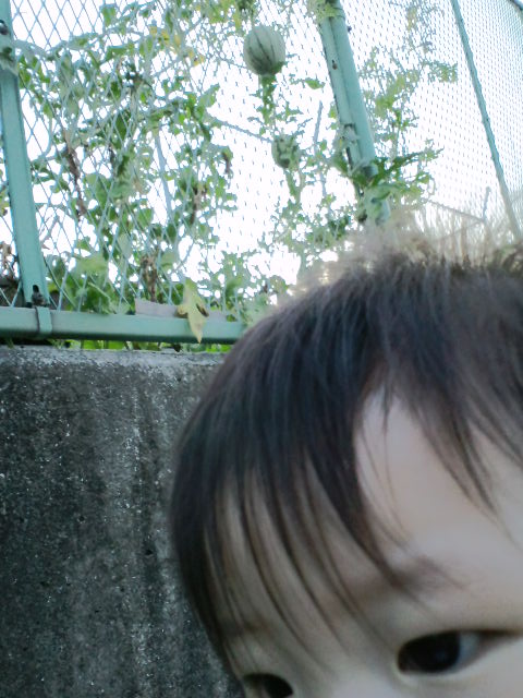 d0147774_22183873.jpg