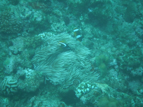 f0200380_18145.jpg
