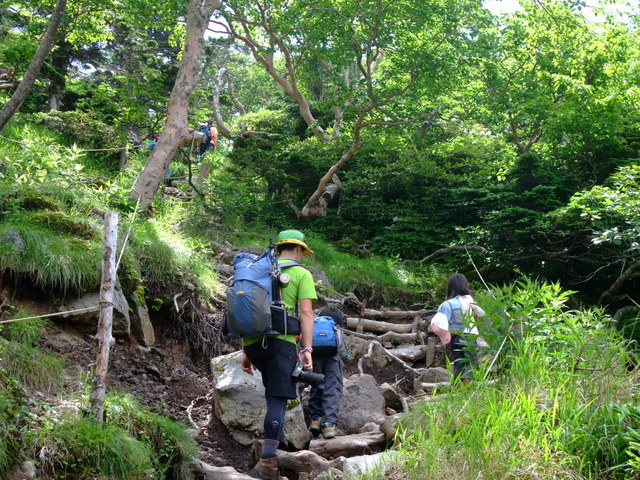 日光白根山　〜７月２３日（土）〜　その③_a0043982_16545229.jpg