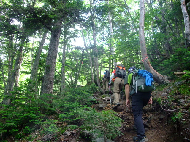 日光白根山　〜７月２３日（土）〜　その③_a0043982_16552126.jpg