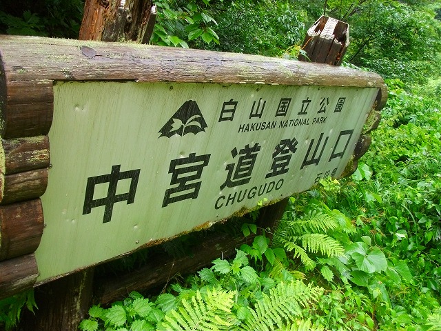 e0168583_21263610.jpg