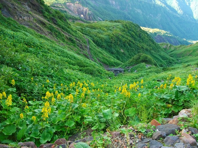 e0168583_21505236.jpg