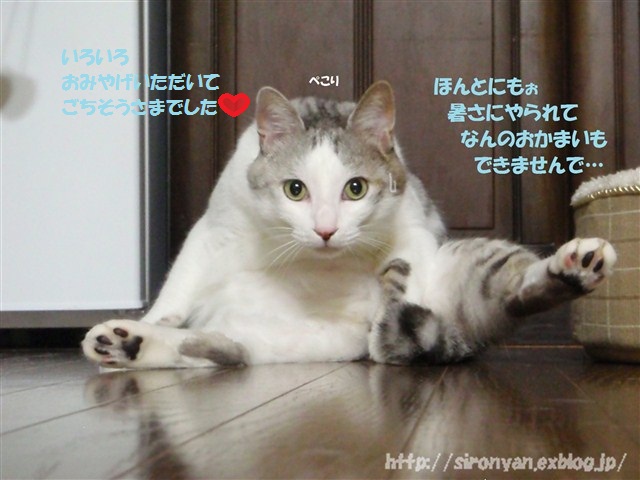 a0159490_1372861.jpg