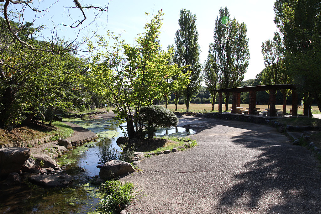 明石公園　2011.08.08　人気少ない休日_b0174191_0543214.jpg