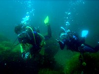 f0079996_1739697.jpg