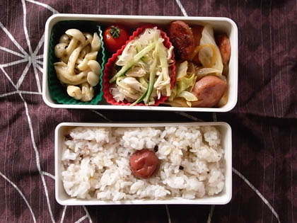 作り置きおかずのお弁当_c0137797_12522734.jpg