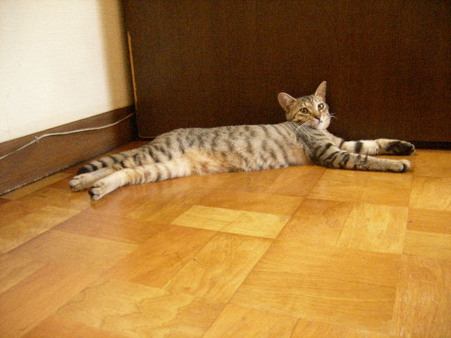a0038698_2143737.jpg