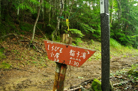 a0158802_23393114.jpg
