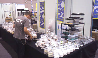 c0165803_171488.jpg