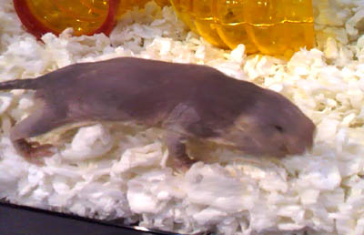 c0165803_18274.jpg