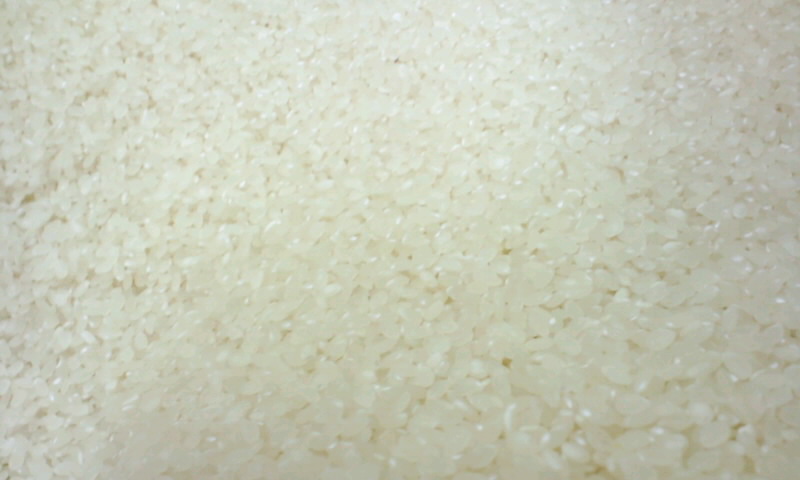 d0093903_20492751.jpg
