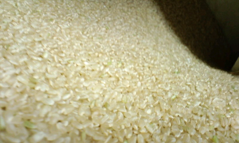 d0093903_20492792.jpg