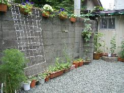 f0055803_13501326.jpg