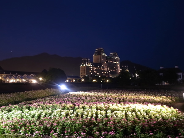 c0093205_3453583.jpg