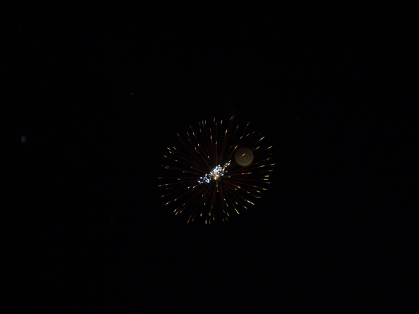 a0100206_8594781.jpg