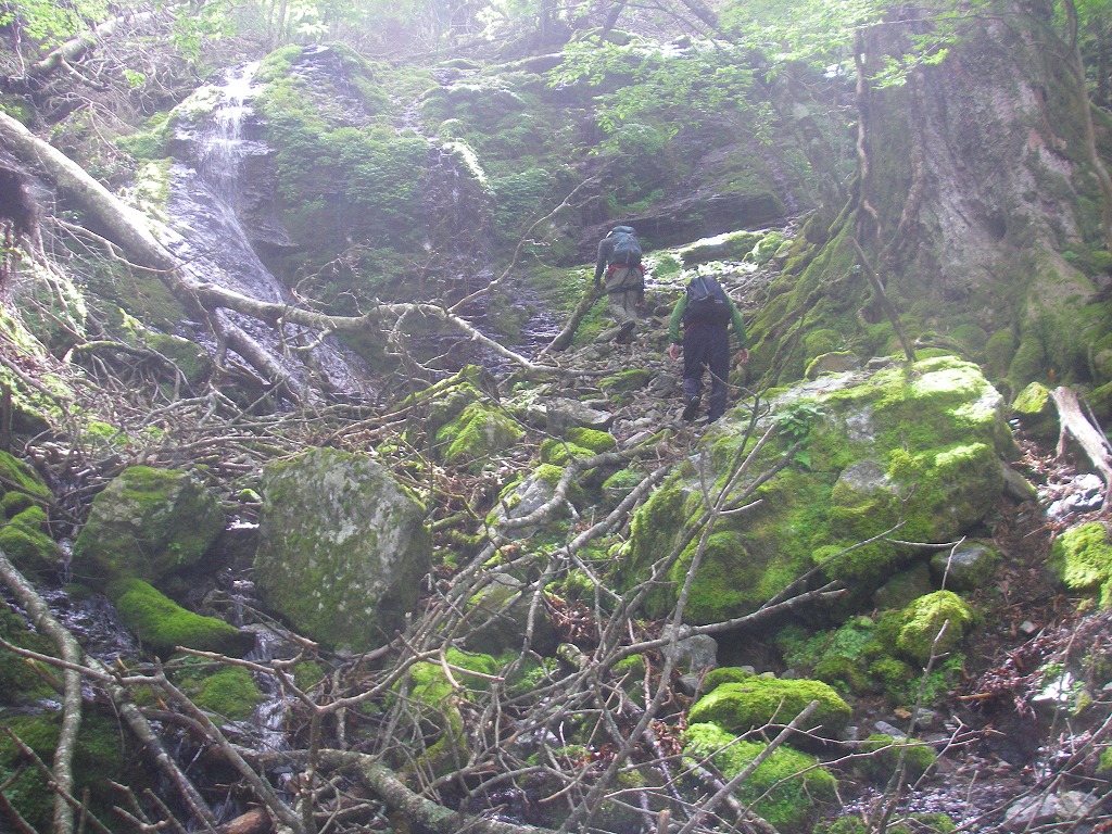 徳島県　つぶろく谷　沢登り_b0124306_17161999.jpg